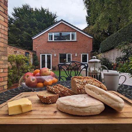 Bt 9 Granny Flat & Walled Garden Belfast Exterior foto
