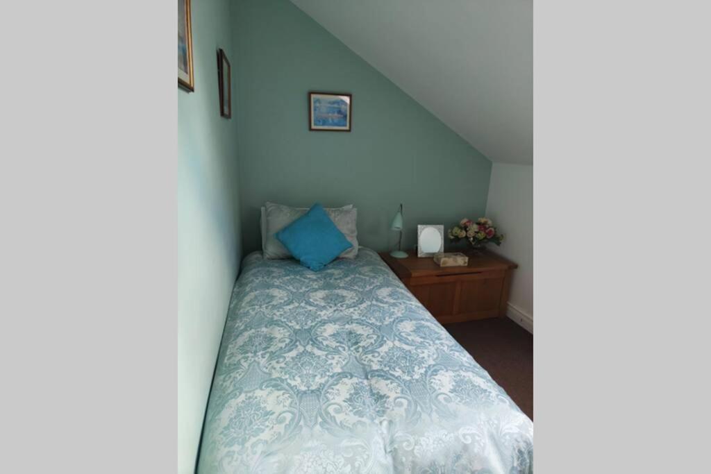 Bt 9 Granny Flat & Walled Garden Belfast Exterior foto