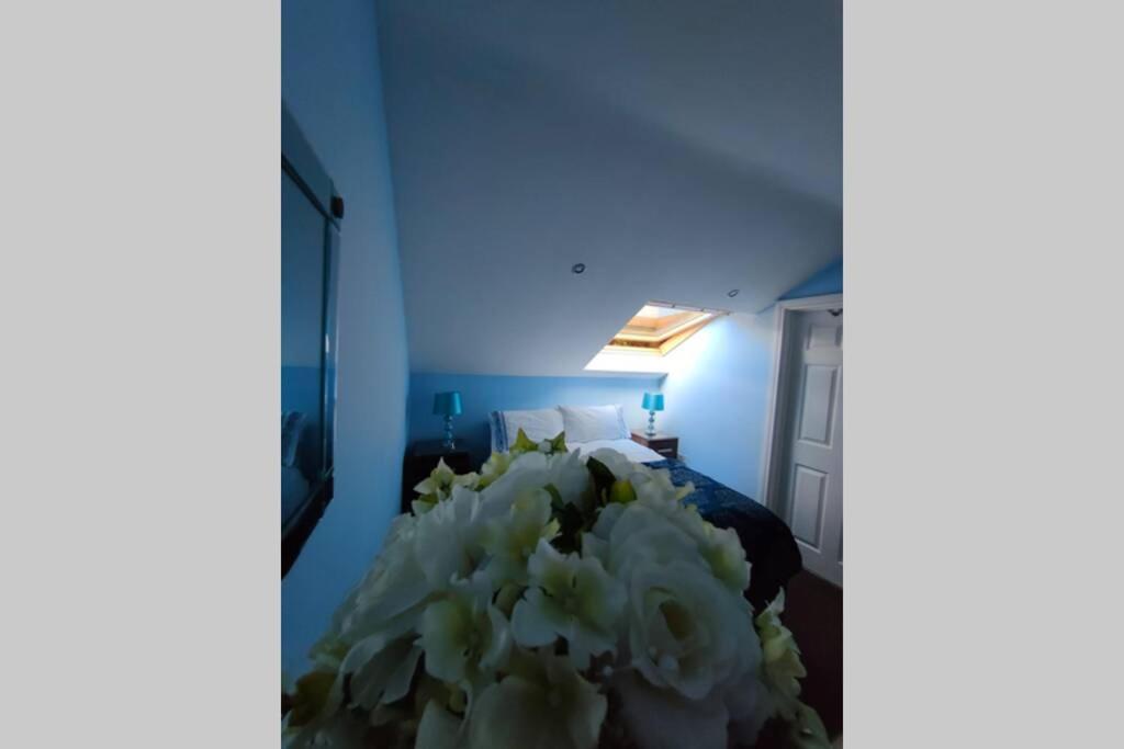 Bt 9 Granny Flat & Walled Garden Belfast Exterior foto